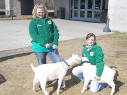 4H kids with their animals at a Chamber of Commerce Ag Day Lunch sponsored by FSWCD